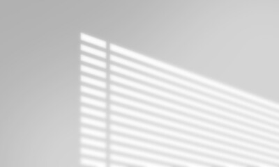 Shadow overlay window