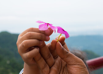 flower in the hands of mother and daughter with mountain background. selective focus and background blur.