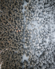 Winter aerial photography from drone. Snowy forest, frozen landscape of czech mountains. Czech national park Beskydy with pure nature and lovely countryside.
