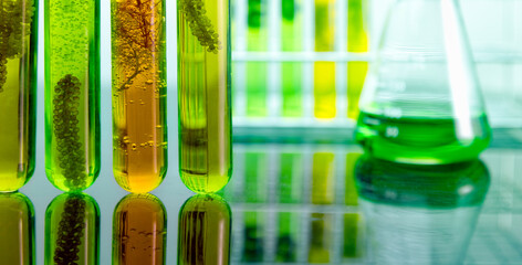 Algae biofuel has a low carbon footprint. - obrazy, fototapety, plakaty