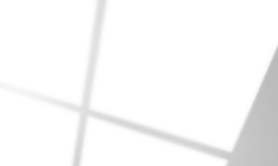 Shadow overlay window