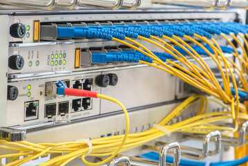 Fiber Optic Patch Cords Connected to Optical Line Terminal