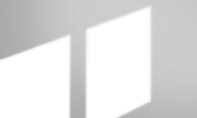 Shadow overlay window