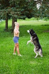 girl training husky dog. 