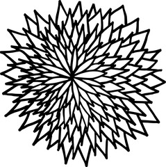 set of simple summer flowers drawings. abstract flower illustration. hand drawn vector art. black white illustration