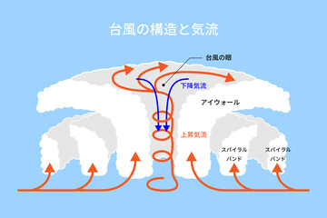 台風の構造と上昇及び下降する気流