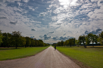 Daytime long exposure of people walking on The Long Walk in Great Windsor Park - 532488744