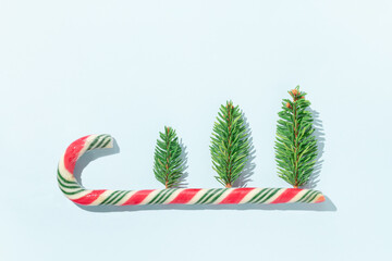 Three Christmas tree firs with colorful candy cane on bright blue background. Minimal winter holidays concept. New Year celebration aesthetic.