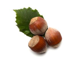 Hazelnuts with green leaves isolated on white background, top view