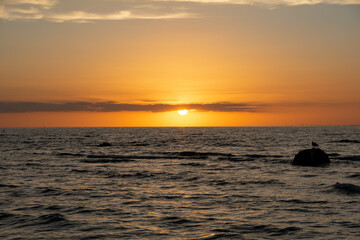 Obraz premium Sunset over the sea with seagull on a rock