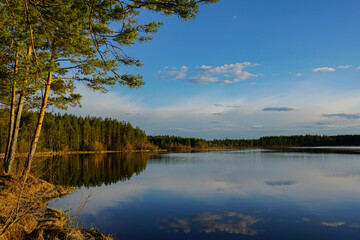 reflection of trees in the water