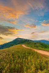 rural road and mountain scenery in the evening,Road in a green field with and mountains under the evening sky.