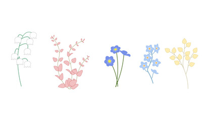 Vector floral set including Miriam, leaves and flowers