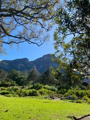 Kirstenbosch Botanical Gardens, Cape Town South Africa