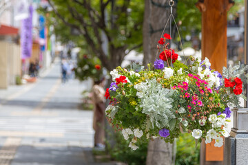 町中のフラワードーム