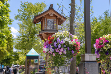 町中のフラワードーム