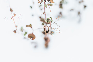 Winter Hintergrund abstrakt