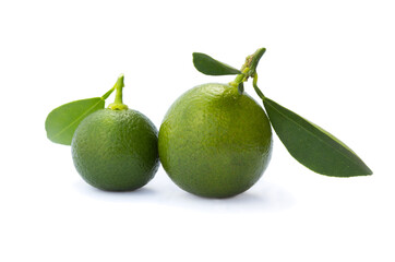 Two whole limes with leaves on white background