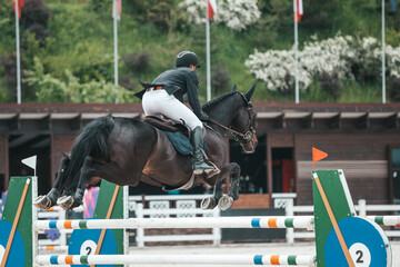 The rider in the show jumping competition jumps an obstacle. Horse and rider are jumping the...