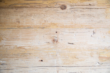 Fototapeta premium Detail of the texture of a wooden board. Tree grain