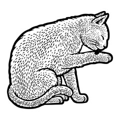 Cat grooming line art sketch PNG illustration with transparent background