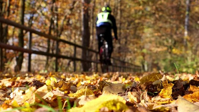 A cyclist rides through an autumn landscape on a path covered with fallen leaves.