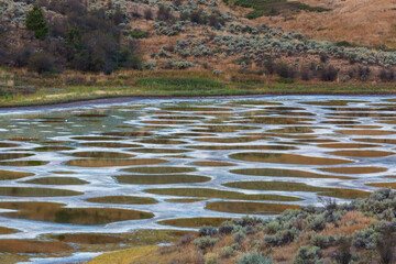 Spotted lake
