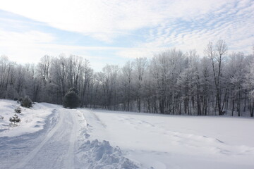 Fototapeta na wymiar Morning Frost on the Trees, Rural Road