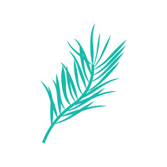 Tropical palm leaf. Vector illustration isolated on white background. Collection for decor, postcards, flyers and brochures, invitations, logos and badges.