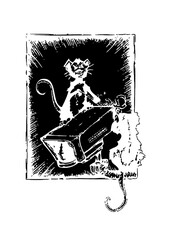 camera rats