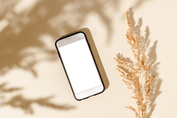 Blank screen smartphone with clipping path and pampas grass with shadows, top view, flat lat. Aesthetic background with smartphone