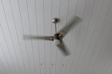 シーリングファン