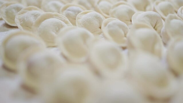 dumplings lie in rows. raw dumplings. homemade raw dumplings