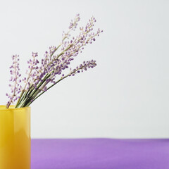 Mothers day background with purple liriope monkey grass blooms in yellow jar.