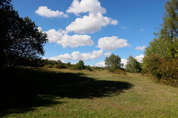 Obraz premium The Waldheide in Heilbronn, Baden-Württemberg, Germany, Europe.