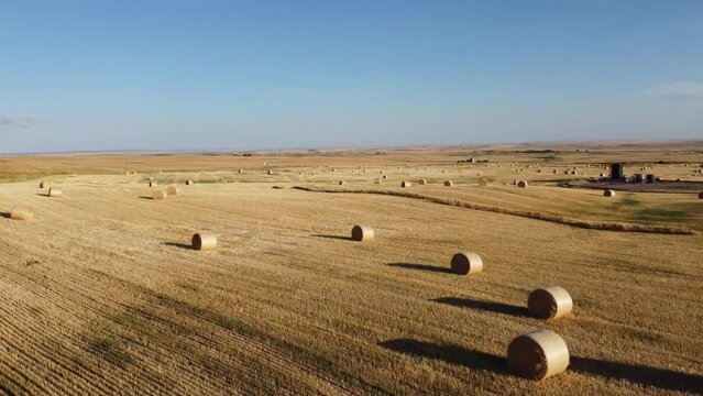 Aerial view of farmland with bales aft harvest in Alberta, Canada. 