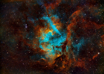 Fototapeta premium Lion Nebula