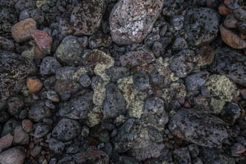 Close up of a rock