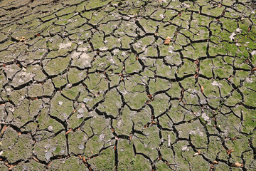 sequía tierra seca pantano seco con poca agua país vasco IMG_8364-as22