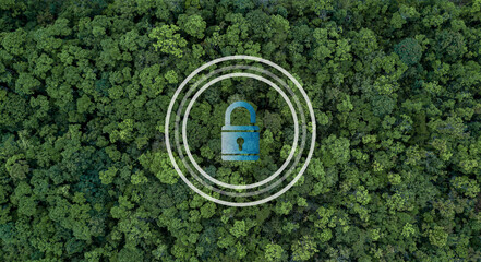 Concept save earth, Green forest tree texture with key lock icon, Day earth Save the world save...