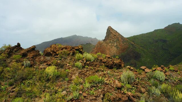 Mountain aerial flight above edge of steep cliff, green crag ranges on sunny day. Summer adventure journey in nature outdoors. Travel exploring Tenerife Canary Island. 4k drone scenery, landscape.