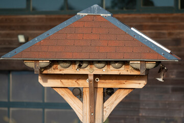 Hotel à hirondelles, Hirondelle de fenêtre, nid,.Delichon urbicum, Common House Martin