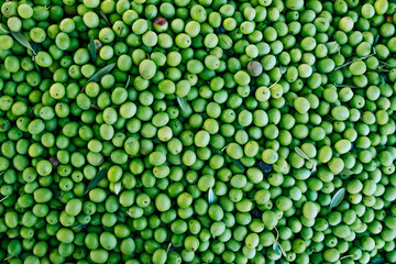 Close up shot group of ecological heap of green raw olives at an indoor food market. Manzanilla green olives tree harvest in Seville, Spain. Abstract background with circles for copy space