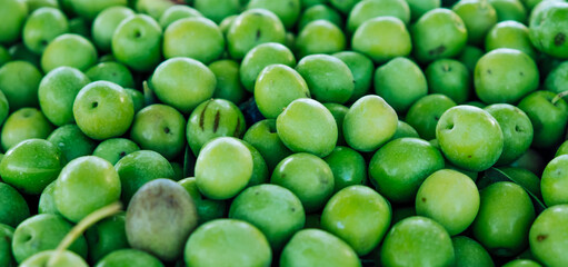 Close up shot group of ecological heap of green raw olives at an indoor food market. Manzanilla green olives tree harvest in Seville, Spain. Abstract background with circles for copy space