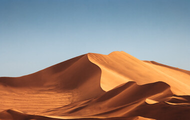 Fototapeta na wymiar beautiful dune in golden light at sossuvlei national park in Namibia