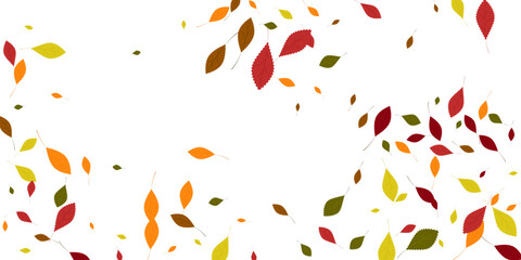 Leaves. Yellow, red, green, orange, brown colors. Scattered autumn leaves. Unusual abstract texture. Vector eps 10.