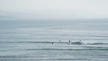 Longboard surfers at Atlantic Ocean, Imsouane, Morocco