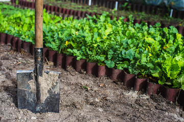 Farmer's garden tool - shovel. Gardening concept. Agricultural work on the plantation