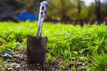 Farmer's garden tool - scoop. Gardening concept. Agricultural work on the plantation