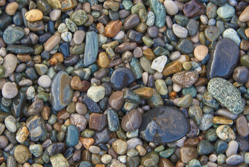 Full frame sea wet pebbles as a backdrop. Abstract background, copy space, design.